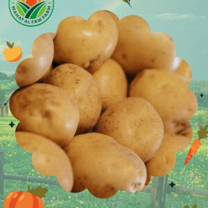 بطاطس طازجة من مزرعة واحة الفاو – مثالية للطبخ والقلي