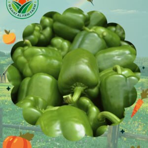 فلفل أخضر