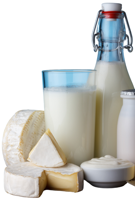 ألبان ومخبوزات